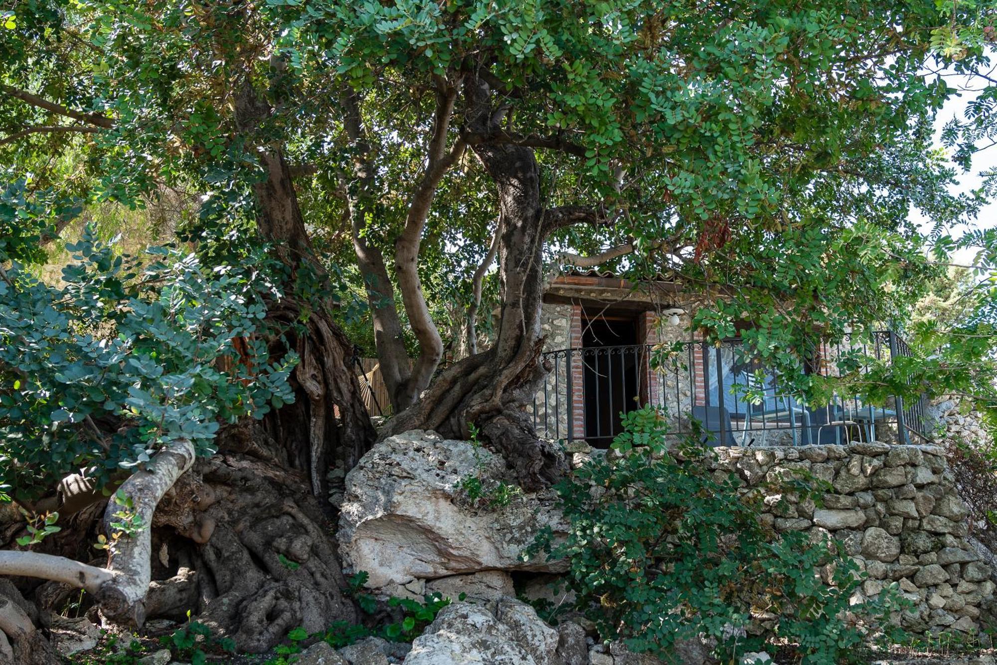 Bed and Breakfast Roba Degli Ulivi à Agrigente Extérieur photo